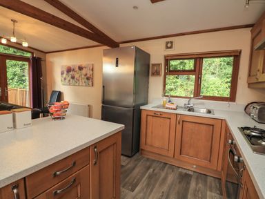 A kitchen with wooden cabinets a stainless steel refrigerator a countertop with a fruit bowl and containers near a window at Templar Rise 16 - Devon Comfort Finlakes Holiday Park near Chudleigh