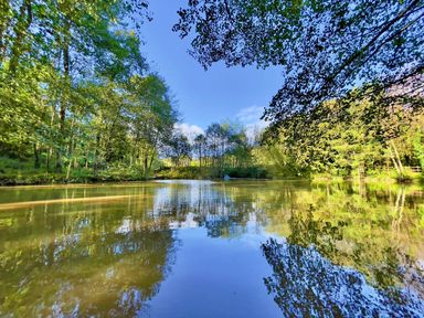 A wooded area surrounding a calm body of water with reflections of trees at Templar Rise 16 - Devon Comfort Finlakes Holiday Park near Chudleigh