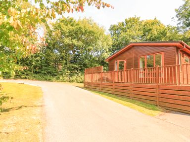 A wooden cabin with a fenced porch next to a paved road surrounded by trees at Deer Park 9 - Copse Corner Finlakes Holiday Park near Chudleigh
