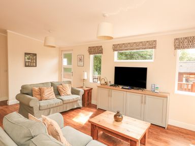 A living room with two sofas a television on a cabinet and a wooden coffee table at Deer Park 9 - Copse Corner Finlakes Holiday Park near Chudleigh
