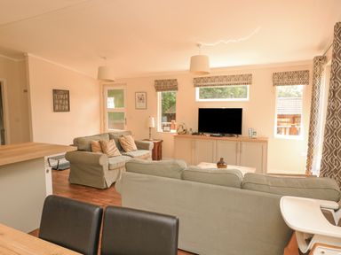 A living room with sofas a television and windows at Deer Park 9 - Copse Corner in Finlakes Holiday Park near Chudleigh