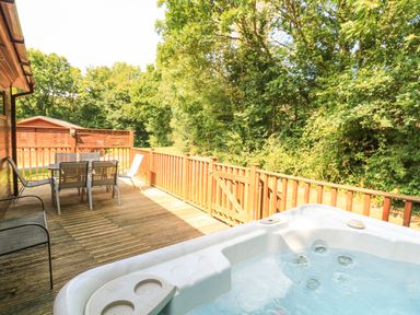 An outdoor wooden deck with a hot tub dining table with chairs and trees in the background at Deer Park 9 - Copse Corner Finlakes Holiday Park near Chudleigh