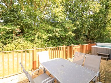 An outdoor deck with a table and chairs and a hot tub surrounded by trees at Deer Park 9 - Copse Corner Finlakes Holiday Park near Chudleigh