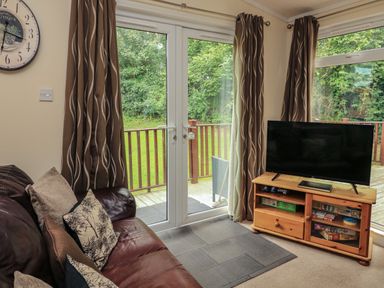A living room with a brown leather sofa and a television on a wooden stand at The Brambles 17 - Conkers Lodge Finlakes Holiday Park near Chudleigh