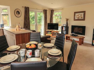 A dining area with a glass table set with plates and mugs and a living room with a tv and fireplace at The Brambles 17 - Conkers Lodge Finlakes Holiday Park near Chudleigh