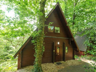 A wooden cabin with a triangular roof surrounded by trees at Lodge 32 - Cowslip Finlakes Holiday Park near Chudleigh