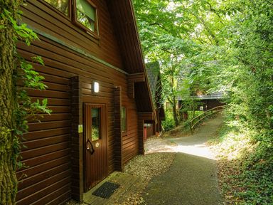 A pathway between wooden cabins surrounded by trees at Lodge 32 - Cowslip Finlakes Holiday Park near Chudleigh