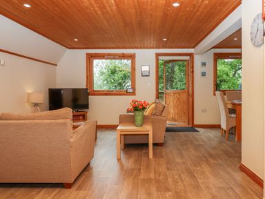 A living room with sofas a table with flowers a television and a door leading outside at Lodge 45 - Lazy Bear Finlakes Holiday Park near Chudleigh