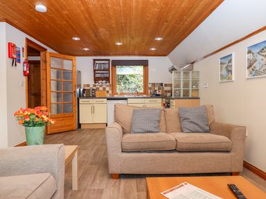 A living room with a sofa and two cushions a wooden coffee table with a remote and paper a kitchen area with cabinets and appliances a wooden ceiling and a vase with flowers Lodge 45 - Lazy Bear Finlakes Holiday Park near Chudleigh