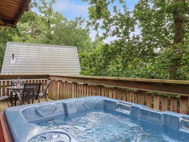 An outdoor deck with a hot tub and a table with chairs surrounded by trees at Lodge 45 - Lazy Bear Finlakes Holiday Park near Chudleigh