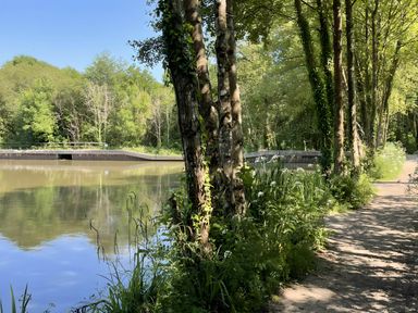 A river beside a walking path with trees and plants alongside at Lodge 45 - Lazy Bear in Finlakes Holiday Park near Chudleigh