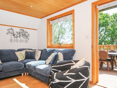 A seating area with a blue corner sofa and a patterned armchair next to a window and an open door leading to a patio at Lodge 47 - Primrose Lodge in Finlakes Holiday Park near Chudleigh