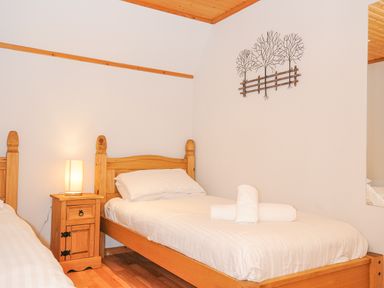 A bedroom with two wooden single beds a bedside table with a lamp and wall art at Lodge 47 - Primrose Lodge in Finlakes Holiday Park near Chudleigh