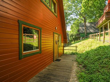 An exterior wooden cabin with windows and a door surrounded by greenery and a wooden fence at Lodge 47 - Primrose Lodge Finlakes Holiday Park near Chudleigh