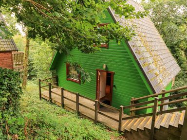 A green wooden A-frame cabin with a wooden deck and stairs surrounded by trees at Lodge 58 - Oak Tree Lodge in Finlakes Holiday Park near Chudleigh
