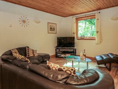 A living room with a curved leather sofa and patterned cushions a glass coffee table with bottles a television on a stand and a window with curtains at Lodge 58 - Oak Tree Lodge at Finlakes Holiday Park near Chudleigh
