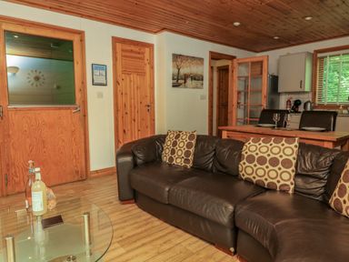 A living area with a brown leather sofa and pillows a glass coffee table and wooden doors at Lodge 58 - Oak Tree Lodge in Finlakes Holiday Park near Chudleigh