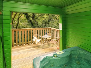 A wooden balcony with a table and chairs and a bottle and glasses next to a green room with a hot tub at Lodge 58 - Oak Tree Lodge in Finlakes Holiday Park near Chudleigh