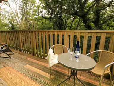 A wooden balcony with two chairs a round table a bottle and two glasses surrounded by trees at Lodge 58 - Oak Tree Lodge Finlakes Holiday Park near Chudleigh