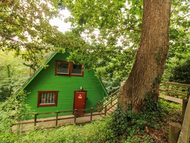 A green wooden cabin with brown windows and door surrounded by trees and a wooden pathway at Lodge 58 - Oak Tree Lodge Finlakes Holiday Park near Chudleigh