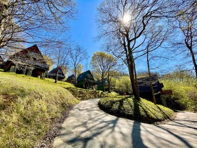 A winding paved path leading uphill with several wooden cabins on stilts among trees at Lodge 58 - Oak Tree Lodge in Finlakes Holiday Park near Chudleigh