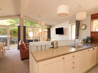 An open kitchen and living area with a sink kettle and coffee maker in the kitchen and a sofa television and dining table in the living area at Woodland View 7 - Oak Cabin Finlakes Holiday Park near Chudleigh