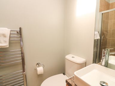 A bathroom with a toilet sink mirror and towel rack at Woodland View 7 - Oak Cabin in Finlakes Holiday Park near Chudleigh