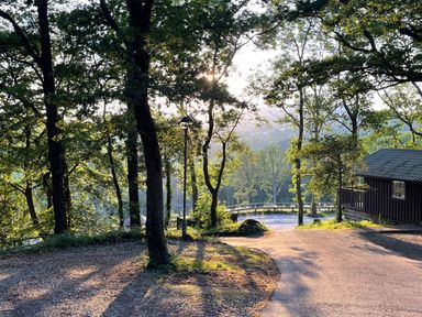 A wooded area with trees shadows and a path near a wooden building at Woodland View 7 - Oak Cabin in Finlakes Holiday Park near Chudleigh