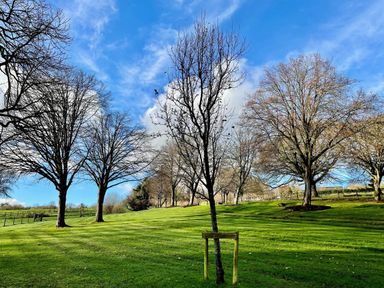 A grassy park area with leafless trees under a blue sky at Woodland View 7 - Oak Cabin Finlakes Holiday Park near Chudleigh