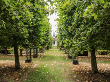 A garden pathway lined with trees leading to a building at Clock Tower in Stowmarket