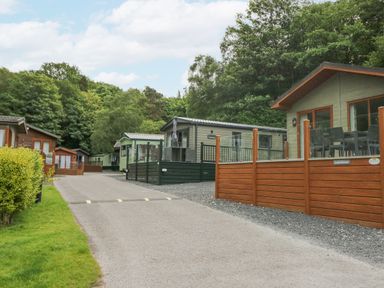 A pathway with several wooden and green lodges on the side surrounded by trees at Mon in Troutbeck Bridge