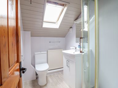 A bathroom with a toilet sink vanity mirror skylight and shower at Llys-y-Wennol in Penmachno
