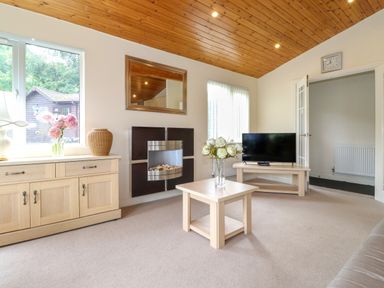 A living room with a wooden ceiling a fireplace a television on a stand and a table with flowers at Lodge 3 At Pound Farm in Crook near Kendal