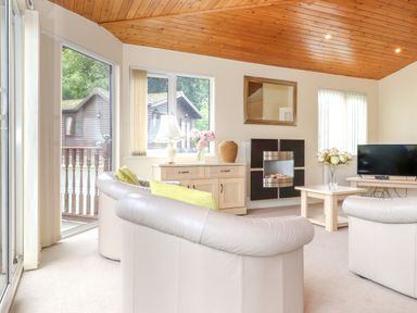 A living room with leather sofas a wall-mounted fireplace a television and a wooden ceiling at Lodge 3 At Pound Farm Crook near Kendal
