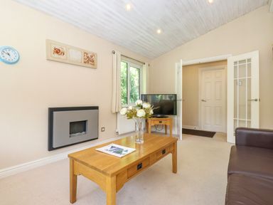 A living room with wooden coffee table and vase with flowers a brown sofa a wall-mounted fireplace and a TV on a side table at Lodge 7 At Pound Farm in Crook near Kendal