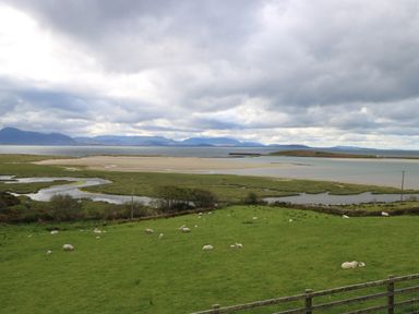 A coastal landscape with green grassy fields and sheep grazing by a sandy shore and a body of water at Cois Leice Cushlecka near Mulranny County Mayo