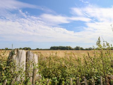 A rural field with a broken wooden fence and vegetation under a partly cloudy sky at The Boathouse in East Wittering