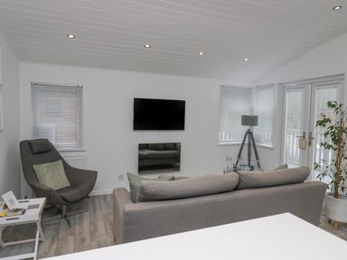 A living room with a gray sofa and chair a wall-mounted television and a plant by the window at Don's Lodge in Grasmere 3 White Cross Bay near Windermere