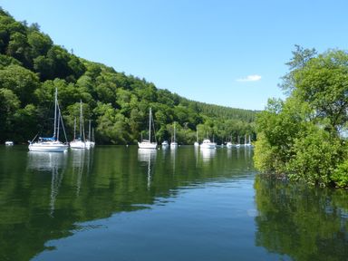 A lake with boats on the water and trees on the shore at Don's Lodge Grasmere 3 White Cross Bay near Windermere