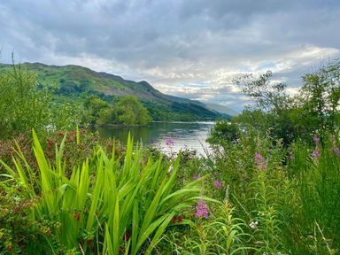 Green plants and flowers by a lake with hills and cloudy sky in the background at Saorsa in St Fillans