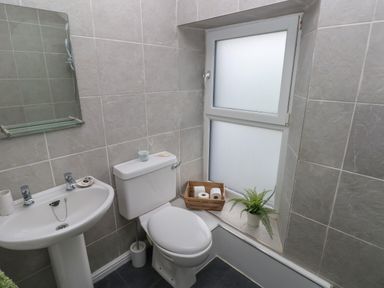 A bathroom with a sink mirror toilet window and a plant on the window sill at Bryn Siriol in Narberth