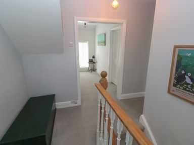A hallway with carpeted floor a wooden banister a green chest and a framed picture on the wall at Bryn Siriol in Narberth