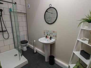 A bathroom with a shower area toilet and sink next to a white shelving unit at Bryn Siriol in Narberth