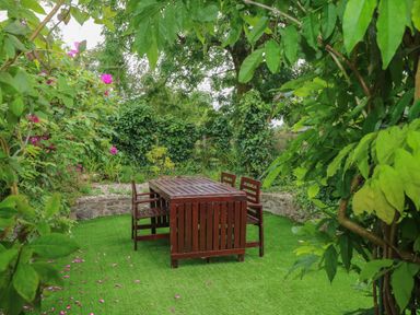 An outdoor garden area with a wooden table and four chairs surrounded by green plants and trees at Bryn Siriol in Narberth