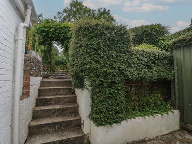 An outdoor stairway with a white brick wall and lush green plants at Bryn Siriol in Narberth