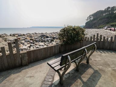 A bench on a paved area overlooking a rocky beach and ocean with trees on a hill in the background at Bryn Siriol in Narberth