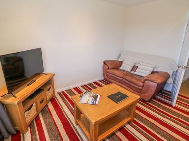 A living room with a leather sofa a wooden coffee table a wooden TV stand with a television and a striped carpet at Fenny Marina Cottage in Fenny Bentley