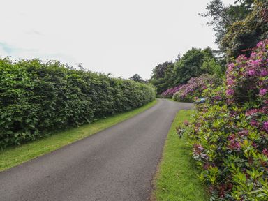 A paved road with green hedges on one side and flowering bushes on the other at North Wing in Middleton Hall Estate near Belford