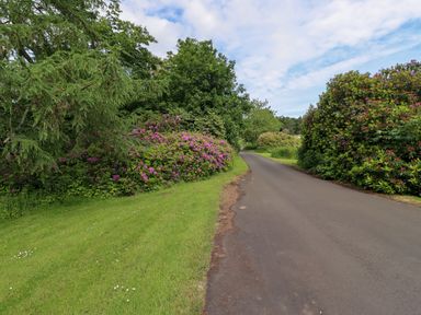 A paved road with grass lawn and flowering bushes on either side at North Wing in Middleton Hall Estate near Belford