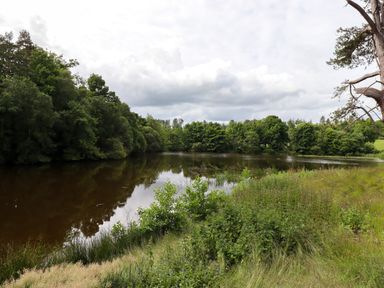 A lake surrounded by trees and grass at North Wing in Middleton Hall Estate near Belford